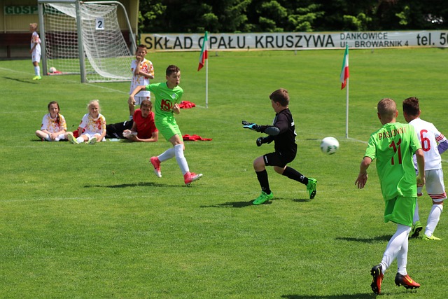 赛季的国王 赛季的国王