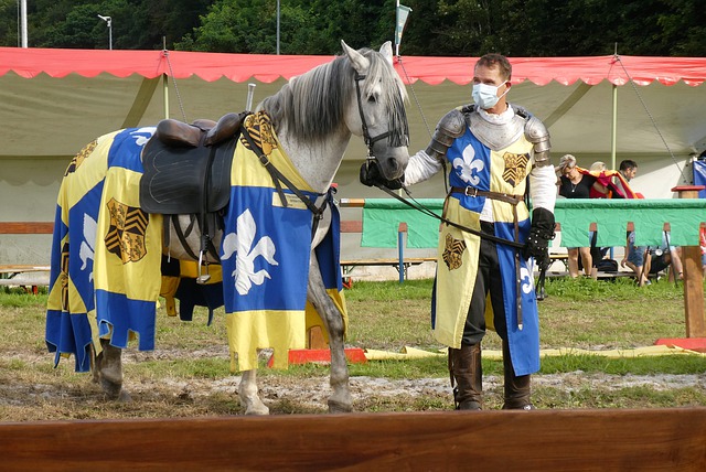 和评估的系 和评估的系