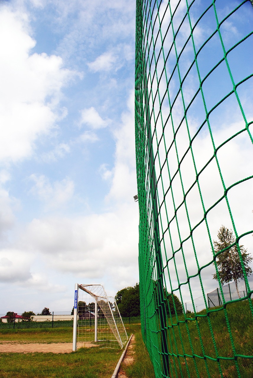 如何在逆境 如何在逆境