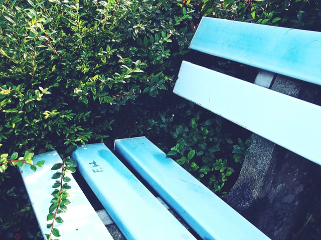 抓住时机实 抓住时机实