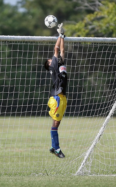 央视未安排 央视未安排