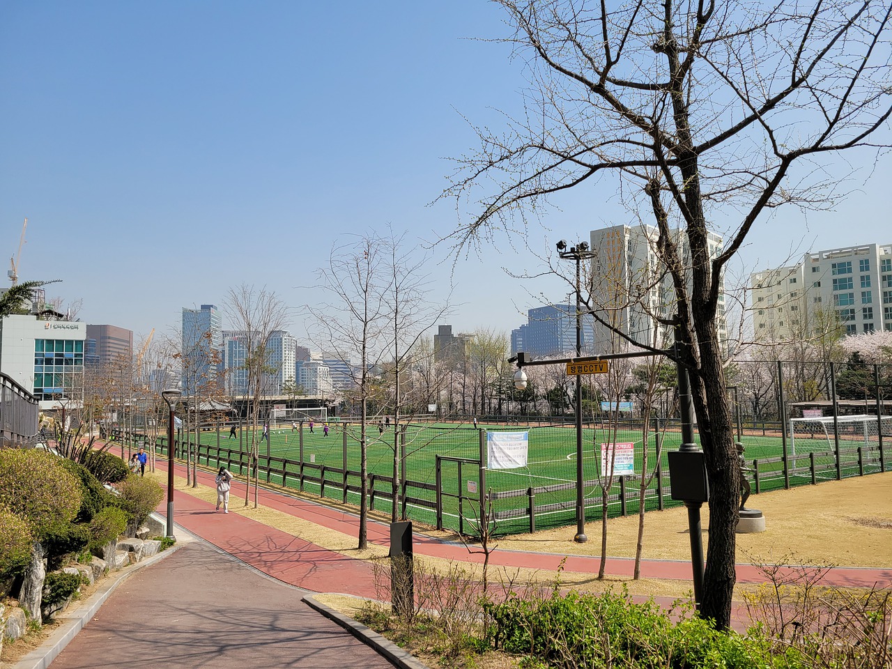 兰青岛德比 兰青岛德比