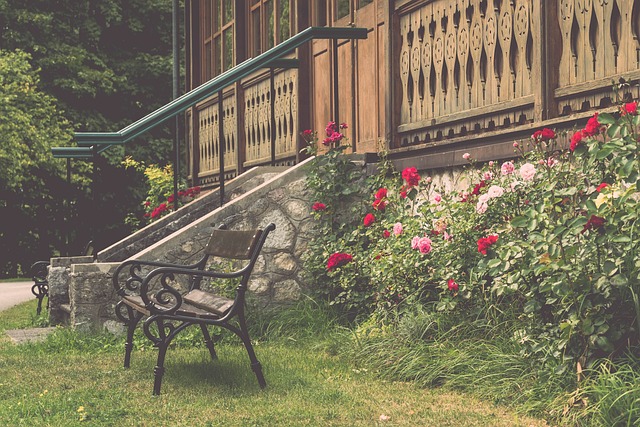 让人看到一 让人看到一