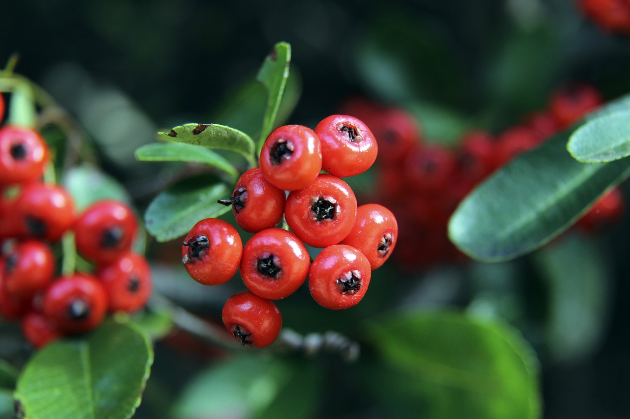 度体验游戏 度体验游戏